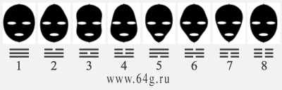 types of human faces in frontal perspectives in physiognomy