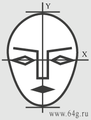 axes of facial symmetry with geometrical sizes of a face on the chart