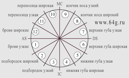 черты лица с позициями планет в двенадцати домах гороскопа