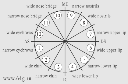 horizontal axis of measurements in full-face with twelve houses of horoscopes
