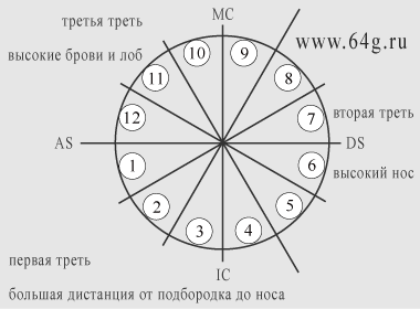 оси измерений лица в гороскопах и натальных картах