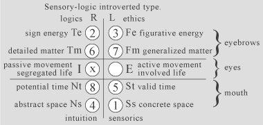 physiognomic chart of sensory-logic introverted type in socionics