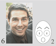 formal facial attributes in the face of film actor Tom Cruise