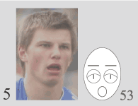 feature of emotional displays in the face of Andrey Arshavin