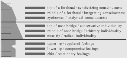 system of nine levels of a human face in profile in physiognomy