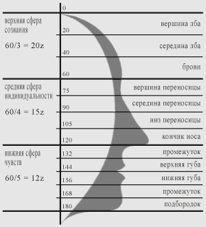 шкала математических размеров человеческого лица в физиогномике