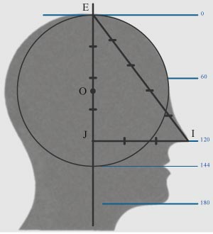 profile of a human face has parameters of the sacred Egyptian triangle