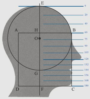 geometrical proportions of a human face as basic figures of physiognomy