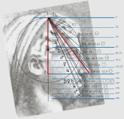 лицо с угловыми величинами и линиями многоугольников в физиогномике