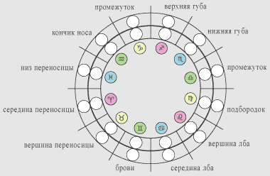 астрологическая карта человеческого лица для физиогномики