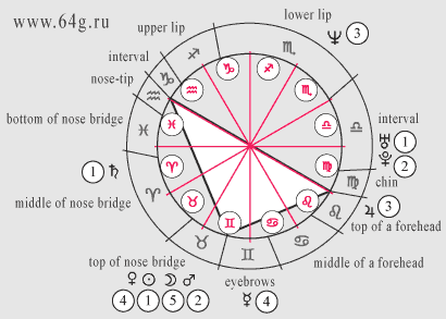 birth chart or cosmogram in astrology is 12 signs of the zodiac and 10 planets