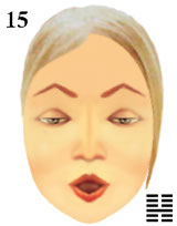 physiognomic symbol of cosmetic make-up to change facial image
