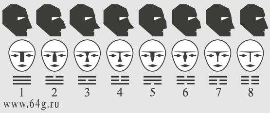noses symbolize individualities of people in physiognomy on the chart