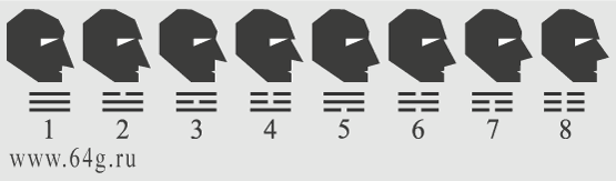 формы и размеры носа согласно вертикальной оси измерений лица