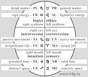 facial lineaments in zodiacal circle as celestial image of world reality