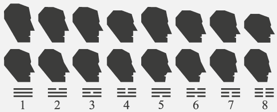 table of proportions for analyses of half-faces in a context of physiognomy