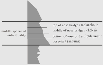 physiognomy of a nose and four types of temperament