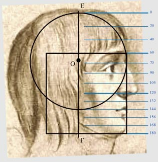 correct geometrical proportions in the facial profile of Napoleon